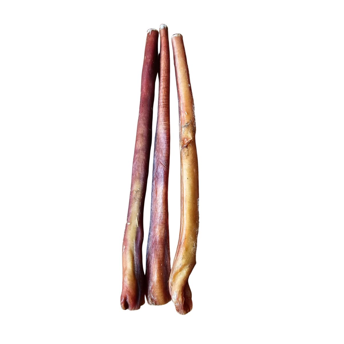 12 Inch Jumbo Bully Sticks