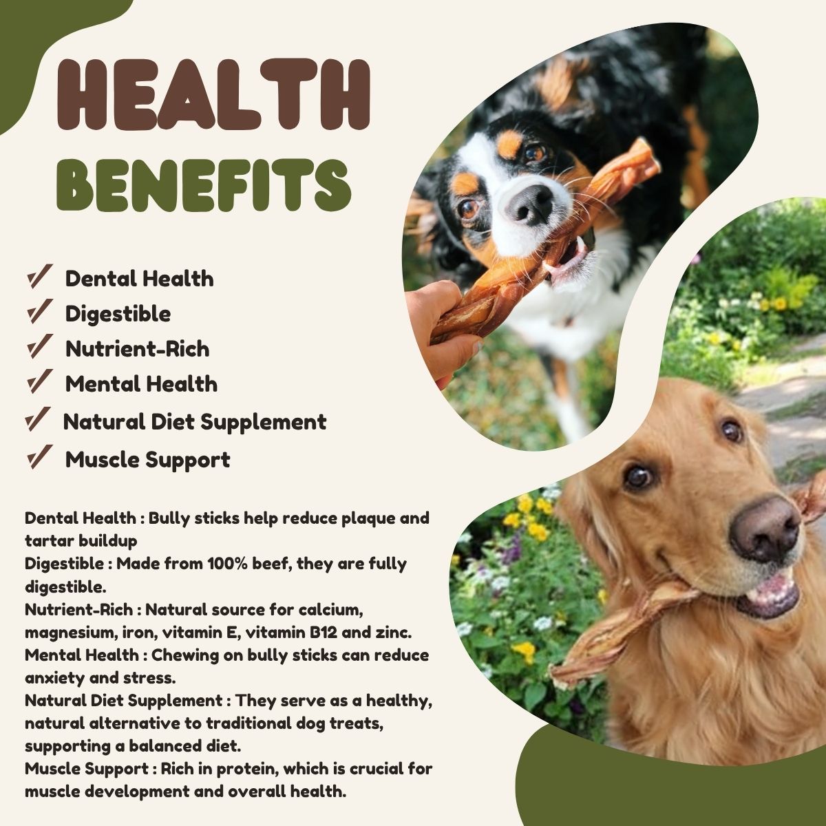 6 Inch Jumbo Braided Bully Sticks