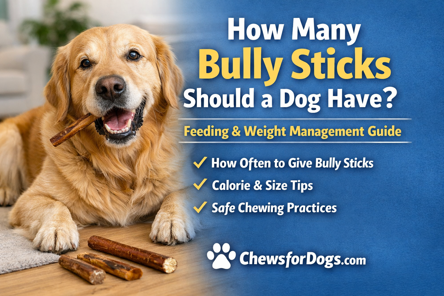 How Many Bully Sticks Should a Dog Have? Feeding & Safety Guide – Chews ...