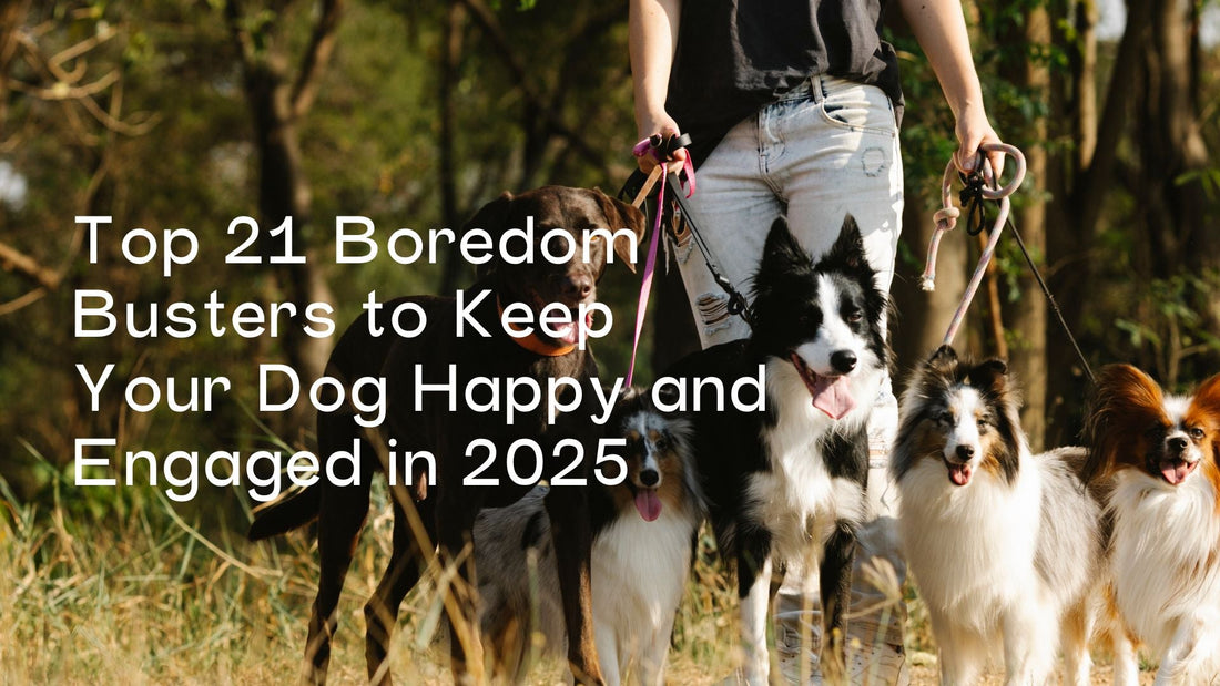 Top 21 Boredom Busters to Keep Your Dog Happy and Engaged in 2025