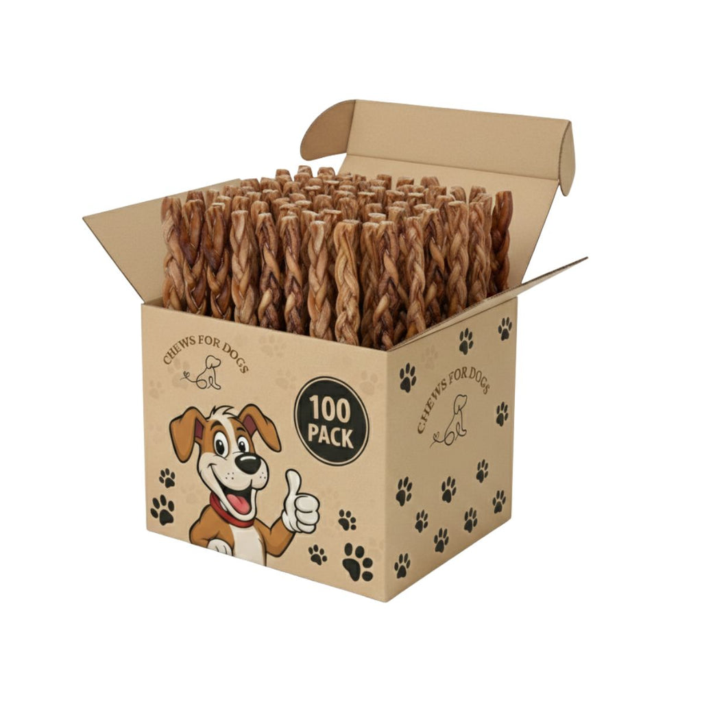 6 Inch Jumbo Braided Bully Sticks