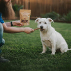 6 Inch Standard Braided Bully Sticks