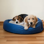 6 Inch Jumbo Bully Sticks