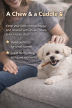 6 Inch Standard Bully Sticks ✔ 100% Natural Beef ✔ Odor Reduced  ✔ Ships from USA in 3–5 Days ✔ Free Shipping — No Minimum