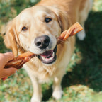 12 Inch Standard Braided Bully Sticks