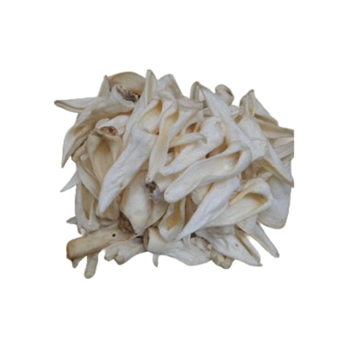 Lamb Ear