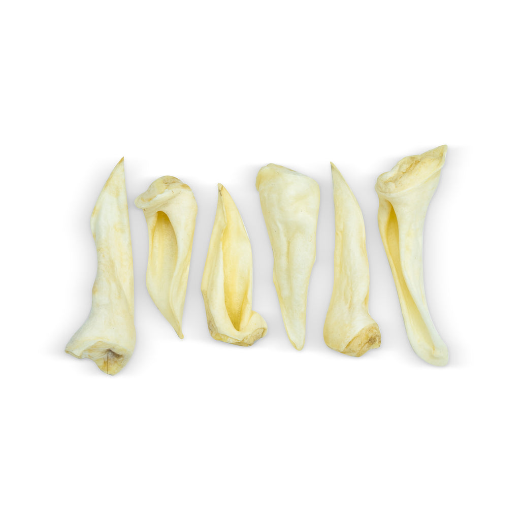 Lamb Ear