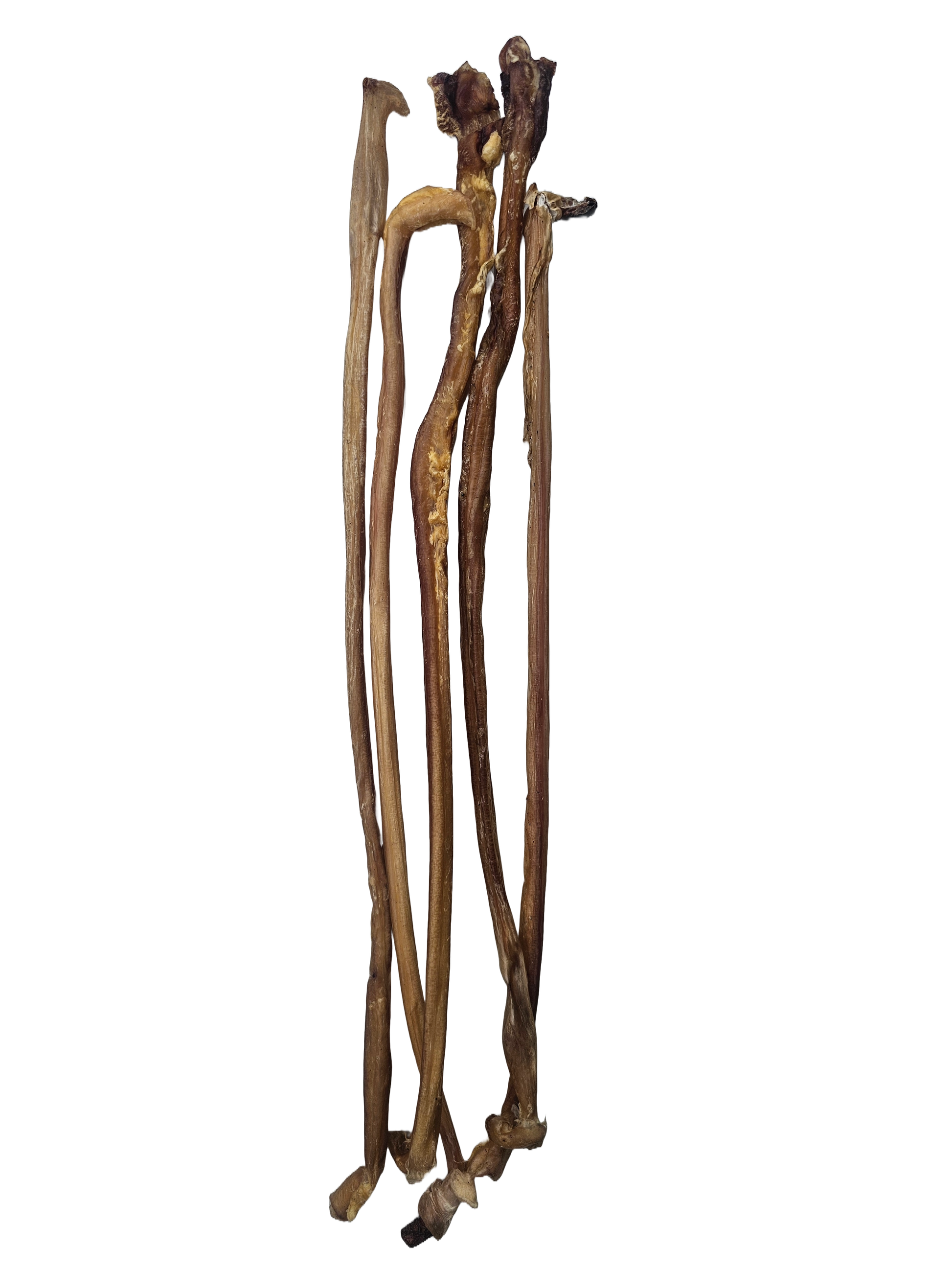 Lamb Pizzle Sticks