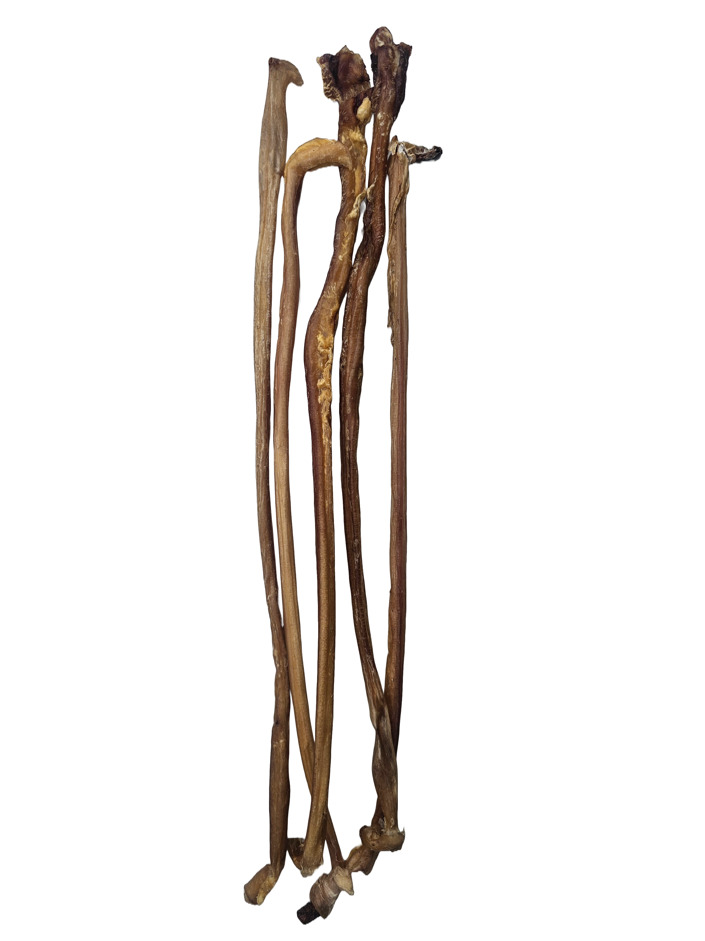 Lamb Pizzle Sticks