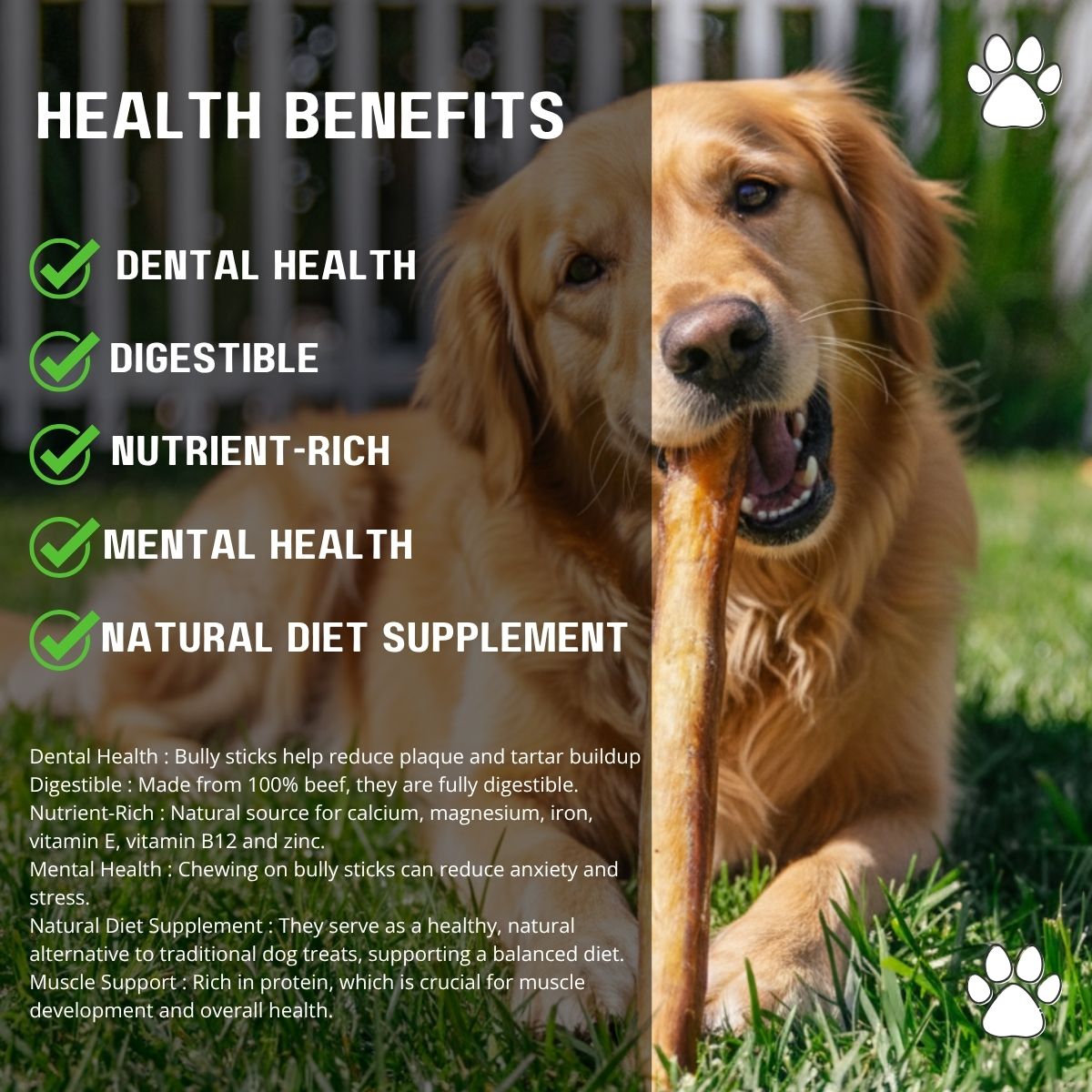 12 Inch Jumbo Bully Sticks