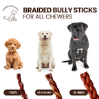 6 Inch Standard Braided Bully Sticks