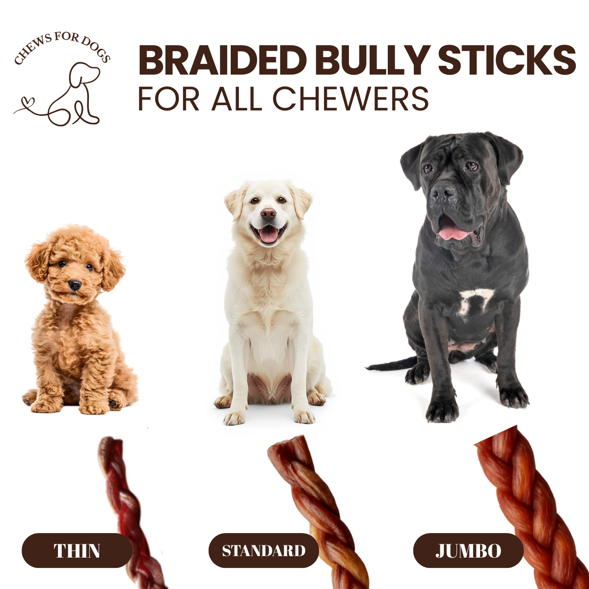 6 Inch Standard Braided Bully Sticks
