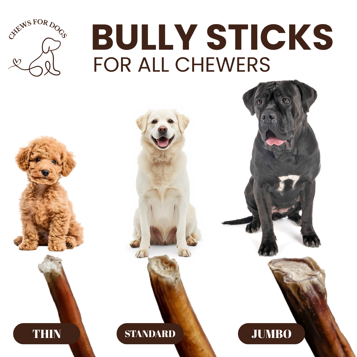 6 Inch Jumbo Bully Sticks